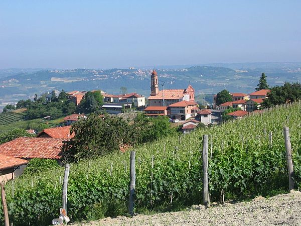 Nebbiolo has a long history in the Alba region of Piedmont.