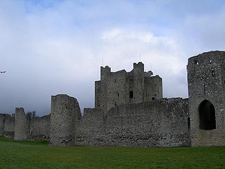 Trim, County Meath Town in Leinster, Ireland