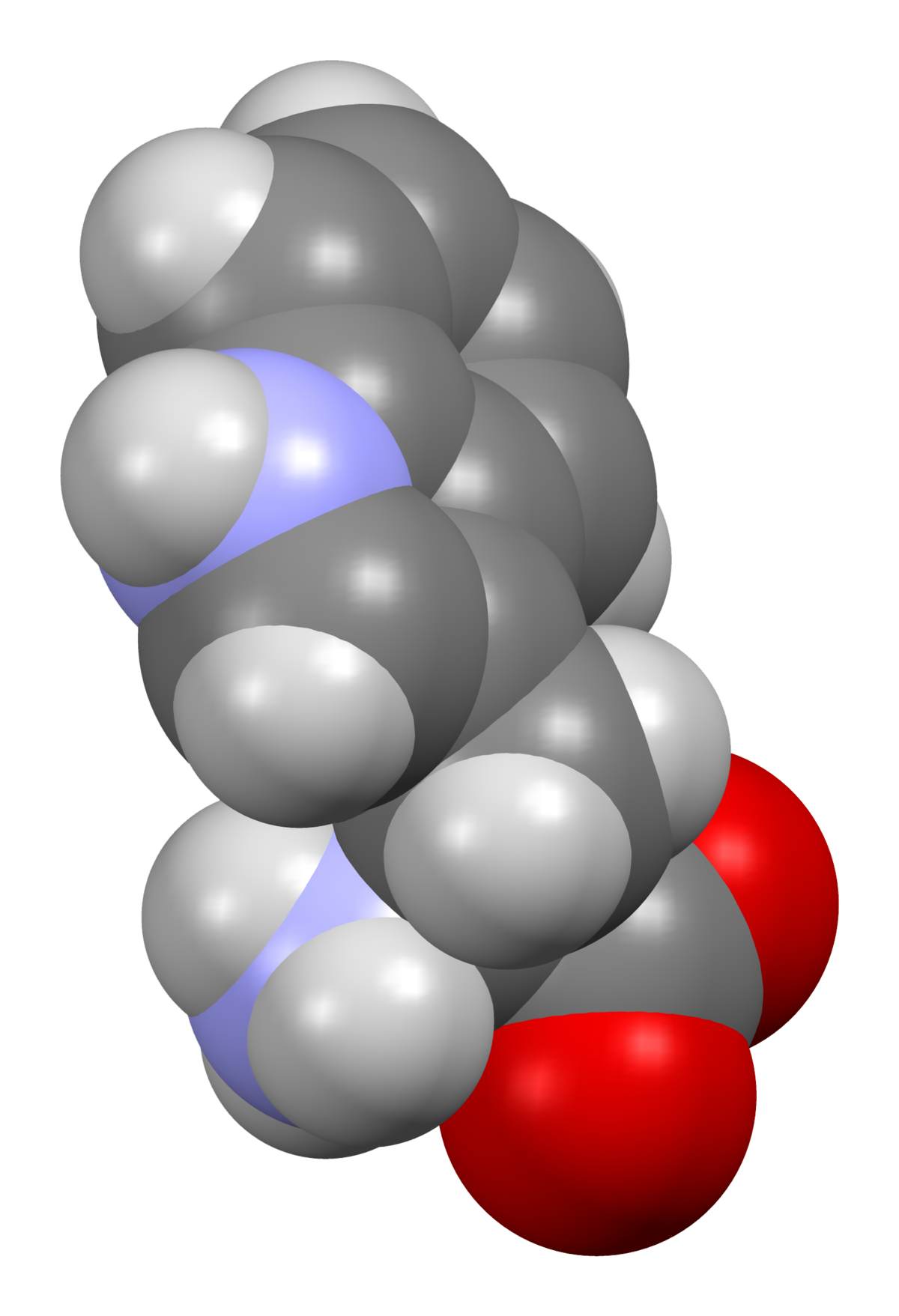 tryptophan structure at ph 7