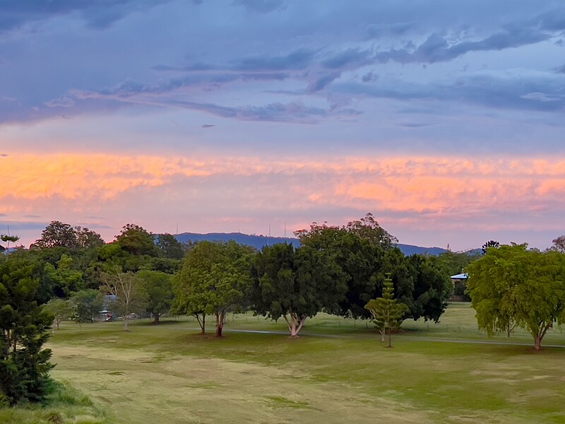 File:Twilights of Sherwood, Queensland, January 2023, 02.jpg