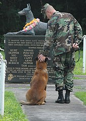 A U.S. Navy dog handler at the War Dog Memorial in the National War Dog Cemetery at Naval Base Guam. The cemetery honors the dogs--mostly Doberman Pinschers--that were killed in service with the United States Marine Corps during the Second Battle of Guam in 1944. US Navy 061027-N-9662L-048 Petty Officer 2nd Class Blake Soller, a Military Working Dog (MWD) handler pets the head of his MWD Rico, at the War Dog Cemetery located on Naval Base Guam.jpg