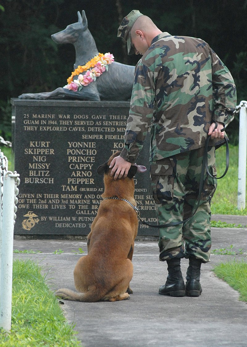 Heroic dog stories Protecting Their Humans 