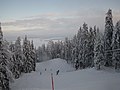 Ukko-Kolin Rinteet - panoramio.jpg