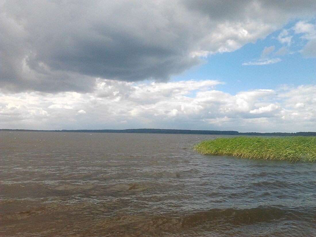 Vagula järv