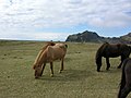 2006年8月5日 (土) 22:17時点における版のサムネイル