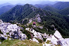 Blick auf die Schlosser Lodge vom Veliki Risnjak.jpg