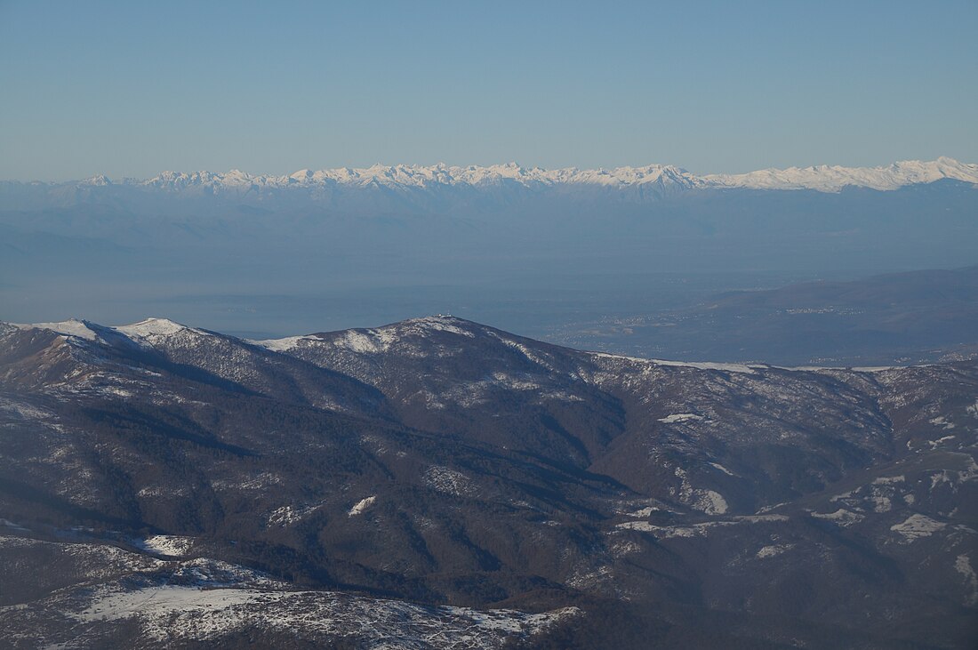 Čičavica