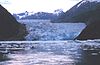 Kitolovac s broda NOAA, John N. Cobb-Sawyer Glacier.jpg