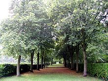 Nave of Whipsnade Tree Cathedral in 2005 Whipsnade Tree Cathedral, Nave.jpg