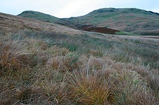 <span class="mw-page-title-main">Earncraig Hill</span>