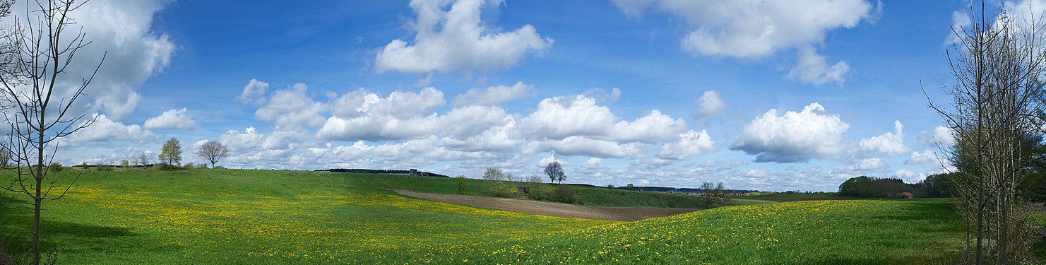 Meadow near Hagenheim, administration district Landsberg am Lech, Bavaria, Germany