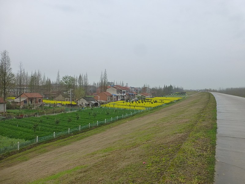 File:Xintan Town - on the levee - P1540373.JPG