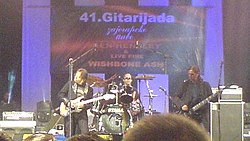 Lipovača (left) performing with Divlje Jagode at Gitarijada festival in 2007