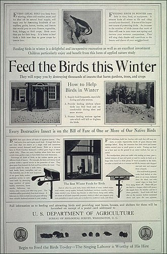 A 1918 call from the U.S. Department of Agriculture to feed birds in the winter. "Feed The Birds This Winter...", ca. 1917 - ca. 1919 - NARA - 512477.jpg