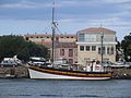 Le Vieux-Crabe, ancien thonier-coquillier dénommé alors Guy Milo construit à Camaret en 1951 (reconverti en dundee bateau-promenade)