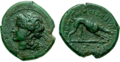 Bronce coin from Nuceria Alfaterna