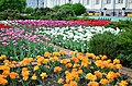 Александровский сад в Москве. Фото 24.jpg