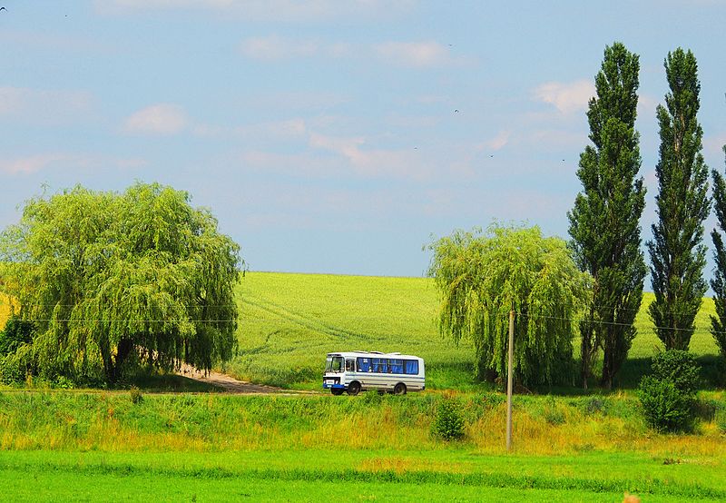 File:Антонівка - автобус.jpg