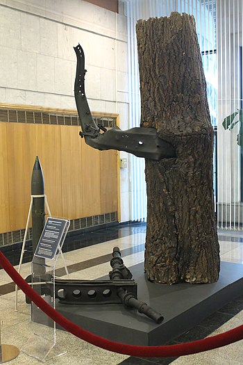 Уникальный экспонат: фрагмент дерева с места гибели Героя России Ивана Андреевича Флёрова