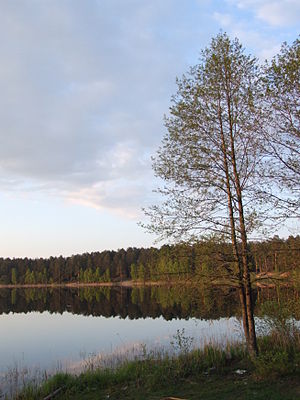 Чёрное (озеро, Владимирская область)