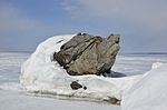 Валун Черепаха