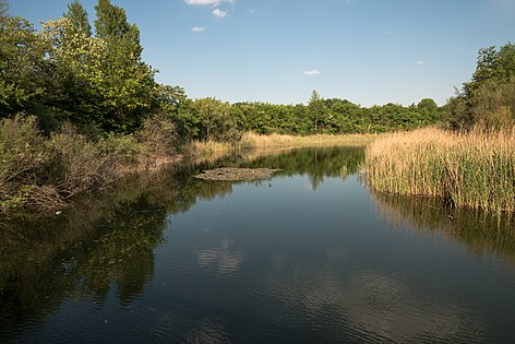 Himmelteich