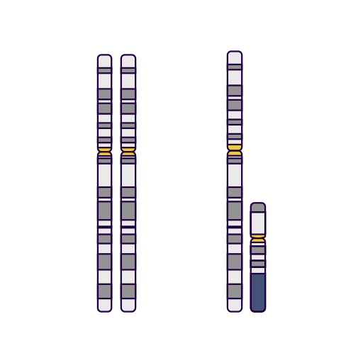 File:202208 Sex Chromosome.svg