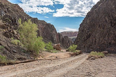 162. Charyn National Park author - Marat Rysbekov