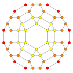 24-hujayrali t23 B3.svg