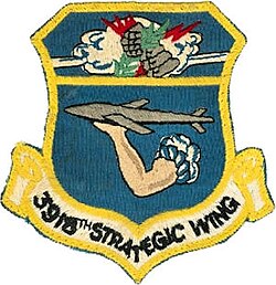 3918 strategic wg-patch.jpg