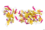 Thumbnail for Amine oxidase (copper-containing)