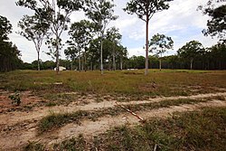 650053 Pacific Islander Hospital and Cemetery site from northwest (EHP, 2017).jpg