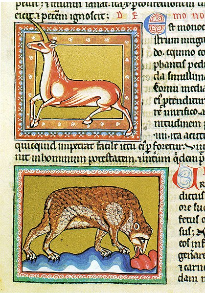 Medieval bestiaries included mythical animals like the monoceros (above) alongside real animals like the bear.