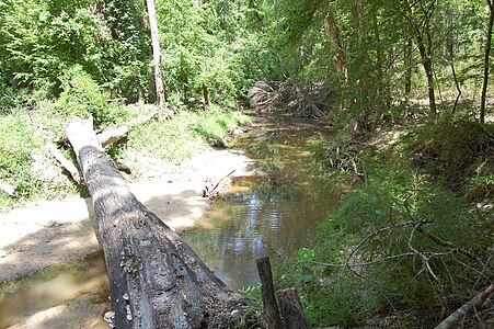 Foster Creek west of the Alabama-Arkansas Redoubt looking north toward Artillery Ridge.