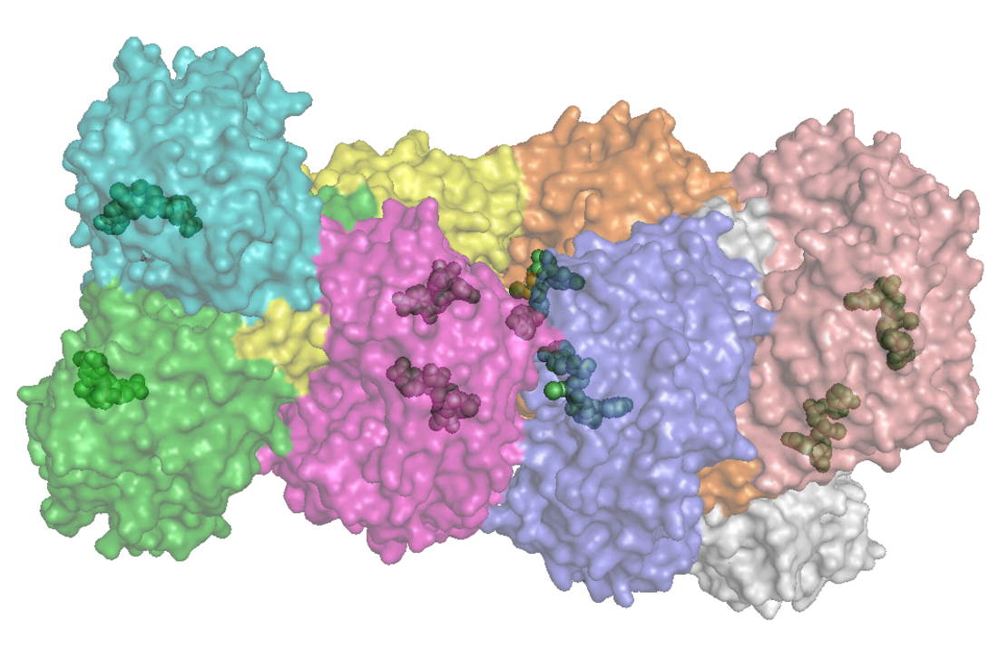 Aldéhyde déshydrogénase