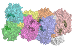 Vignette pour Aldéhyde déshydrogénase