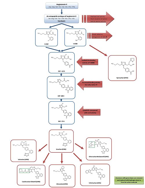 Fig 3. Drug development of ARB ARBdrugdevelopment.jpg