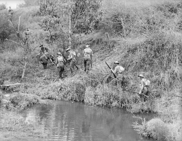 2/14th Battalion personnel training on the Atherton Tablelands, September 1944