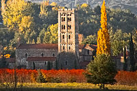 Vignes de l'Abbaye Saint-Michel-de-Cuxa en automne.