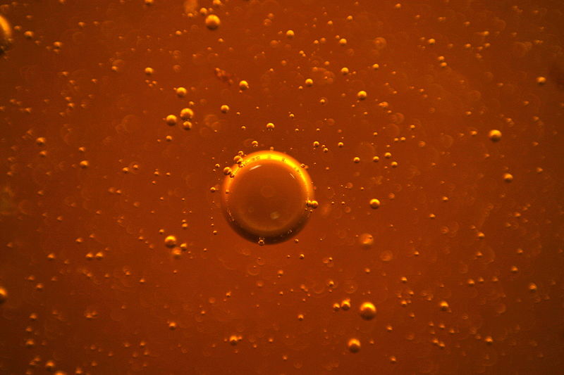 File:Air bubbles. Honey.jpg