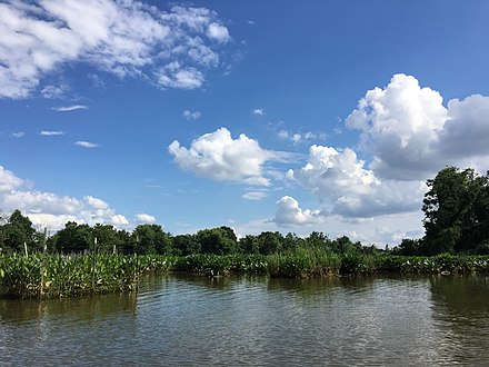 The Anacostia River, in Washington, DC, near Kingman Island, June 2017