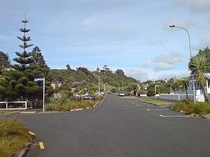 Looking east along Ivanhoe Road towards Arch Hill Reserve.