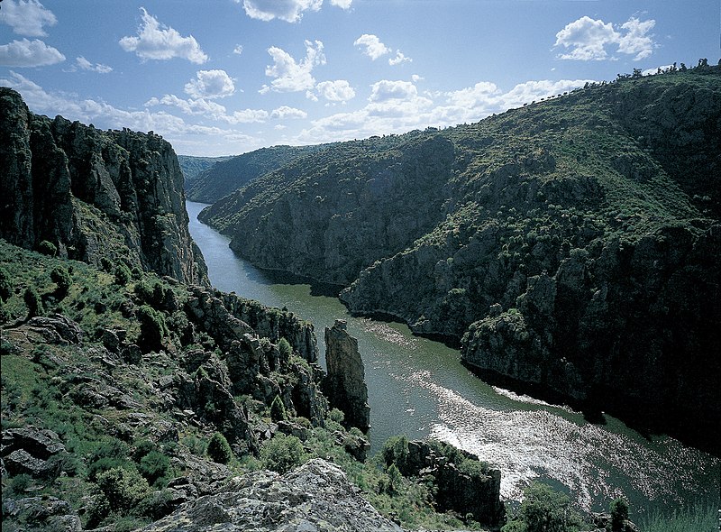 File:Arribes Río Duero, Zamora.JPG