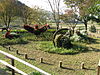 Asuka Historical National Government Park(Takamatsuduka)1.jpg