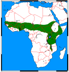 Mapa występowania