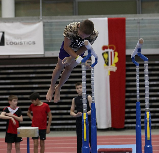 File:Austrian Future Cup 2018-11-23 Training Afternoon Parallel bars (Martin Rulsch) 0049.jpg