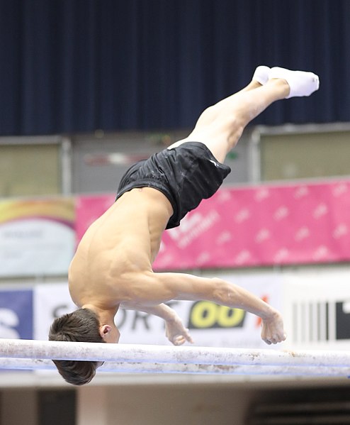 File:Austrian Future Cup 2018-11-23 Training Afternoon Parallel bars (Martin Rulsch) 0659.jpg