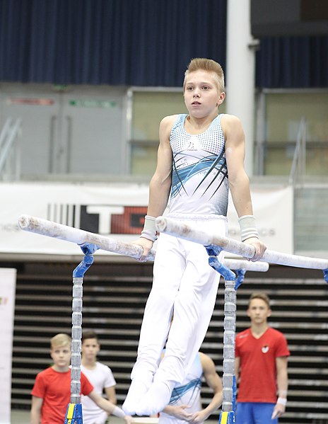 File:Austrian Future Cup 2018-11-23 Training Afternoon Parallel bars (Martin Rulsch) 0692.jpg