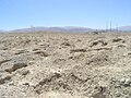 Bab edh-Dhra, Bronze Age burial ground in the plain (Cemetery C)