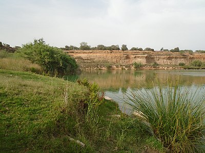 Vista de la bassa des de la seva riba (2020)